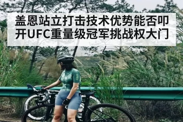 盖恩站立打击技术优势能否叩开UFC重量级冠军挑战权大门